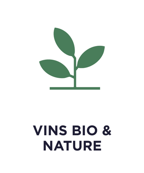 Vins-Bio-Nature_Manuel Maison Sarment Shop