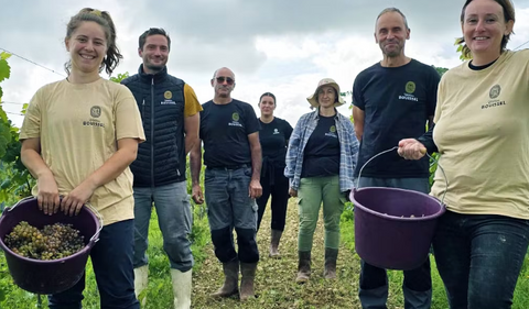 Le beau Vin - Fronton AOP Rouge BIO- Chateau Bouissel