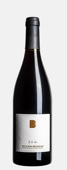 SAINT NICOLAS de BOURGUEUIL - Cave Bruneau Dupuy - cuvée Si le Vin BIO Maison_sarment