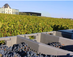 BORDEAUX - La fleur de Pedesclaux - AOP Pauillac