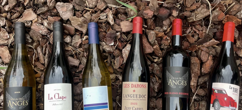 Jeff Carrel Les Darons