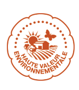 CHAMPAGNE - Thierry Massin Embl'M