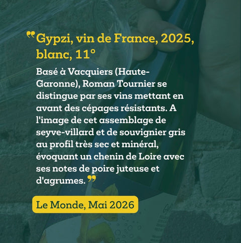 GYPSI - Pétillant naturel Vin de France - Roman des vignes
