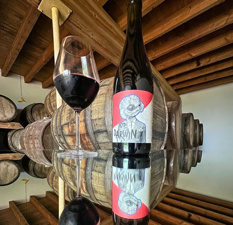 Darwin - Cabernet jura - Wine Impact