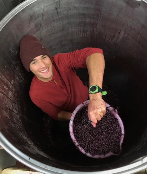 Darwin - Cabernet jura - Wine Impact