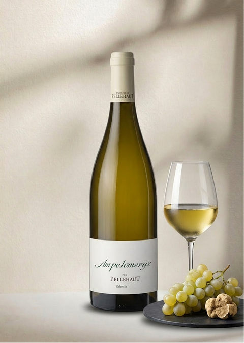 GASCOGNE - Domaine de Pellehaut Ampéloméryx blanc