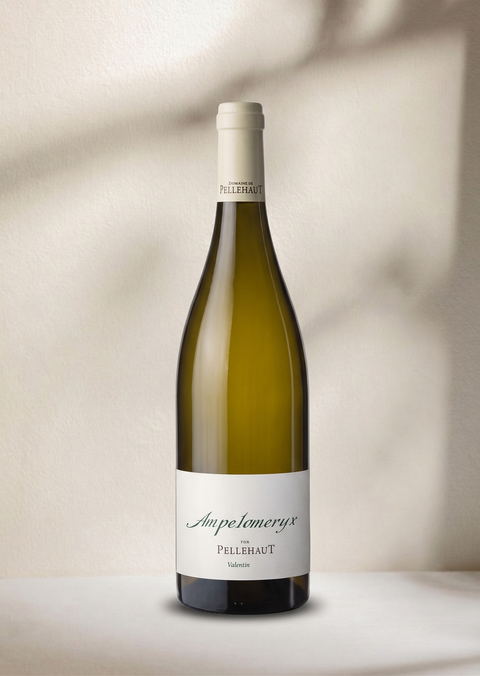 GASCOGNE - Domaine de Pellehaut Ampéloméryx blanc