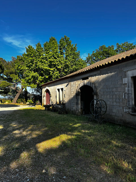 Chateau GUIOT - Plaisir coupable - vin blanc doux