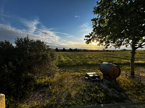 Chateau GUIOT - # Pas invité - Vin Nature