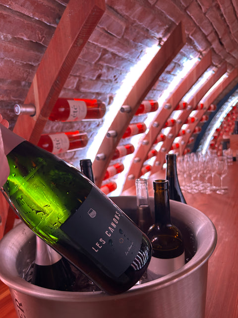 LOIRE - PETILLANT - Les Canons - Le Chenin Brut