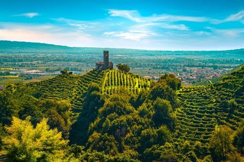 Domaine Prosecco