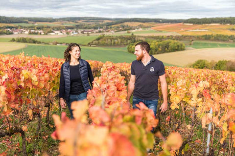 Champagne Thierry Massin Contrées – Le Pinot Noir de la Côte des Bar