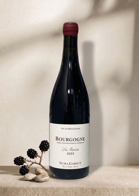 NUMA CORNUT BOURGOGNE Les muriers