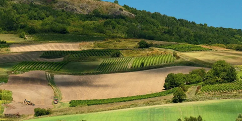 GAILLAC - Chateau Adelaïde - Cuvée Tradition