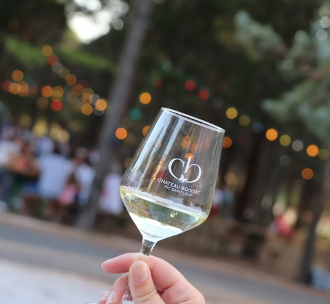 PIC SAINT LOUP - Château Boisset cuvée Ailes et Moi