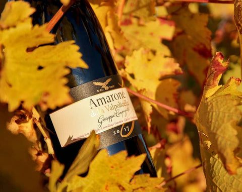 Amarone Vigneti Vallata di Marano, Campagnola, Vénétie rouge