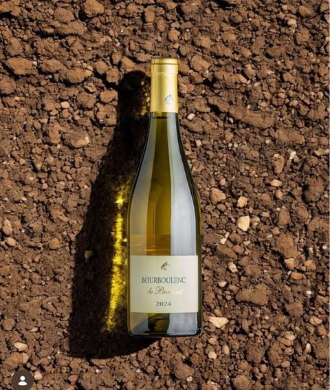 LANGUEDOC - Chateau Bouisset Bourboulenc