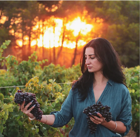 LANGUEDOC - Château Bouisset - Les Terres Salées blanc -  IGP Côtes de Périgna