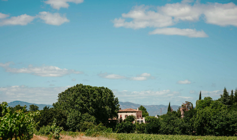 Languedoc - DOURBIE OSCAR BLANC BIO