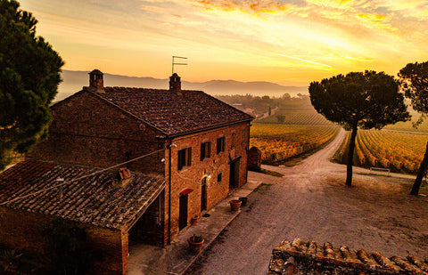 La ferme en briques de la Tenuta Montecchiesi au lever du soleil, au-dessus des vignes d'automne