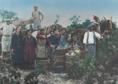 CORBIERES - Domaine Sainte Marie des Crozes Hector et Juliette
