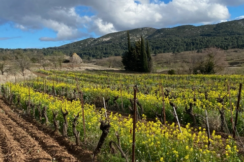 CORBIERES - Domaine Sainte Marie des Crozes Timéo Rouge