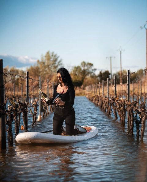 LANGUEDOC - Château Bouisset - Les Terres Salées blanc -  IGP Côtes de Périgna