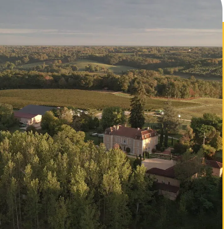 UBY Zéro Alcool - Vin Blanc Pétillant Sans Alcool