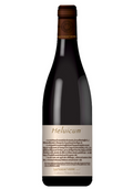 Les Vins de Vienne - Cuilleron-Gaillard-Villard Heluicum 2020 Maison_sarment